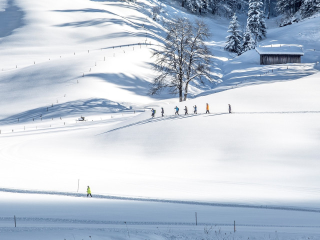 Schneeschuhwandern
